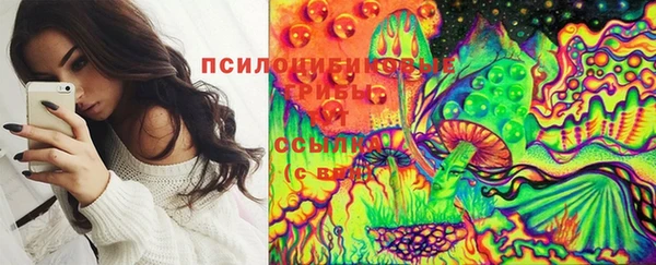 тгк Алексин